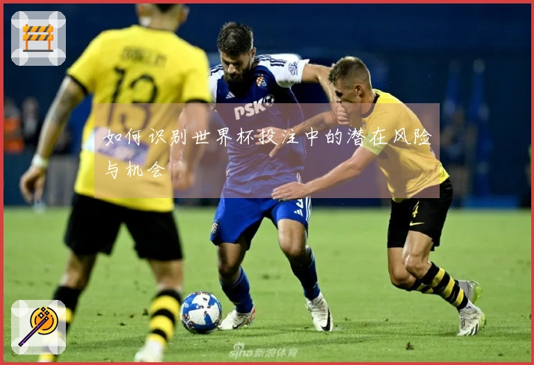 如何识别世界杯投注中的潜在风险与机会