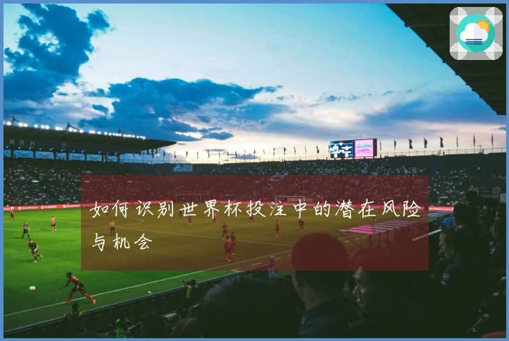 如何识别世界杯投注中的潜在风险与机会