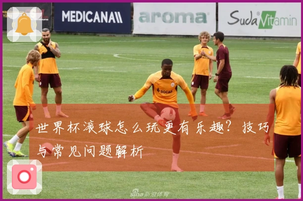 世界杯滚球怎么玩更有乐趣？技巧与常见问题解析